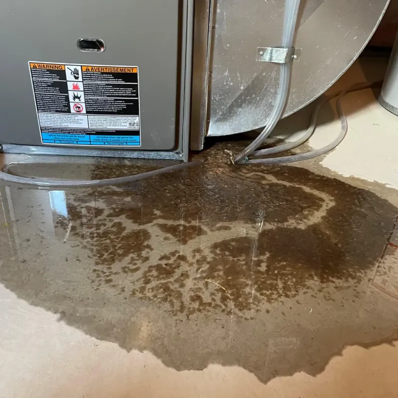 Appliance Leak Cleanup in Culloden, WV