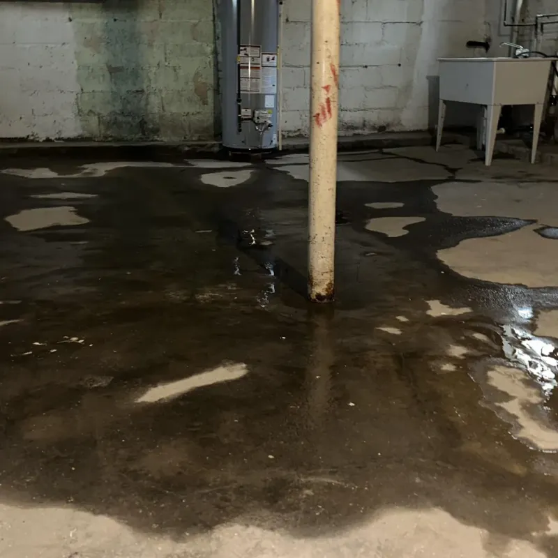 Emergency Water Extraction And Removal in Culloden, WV